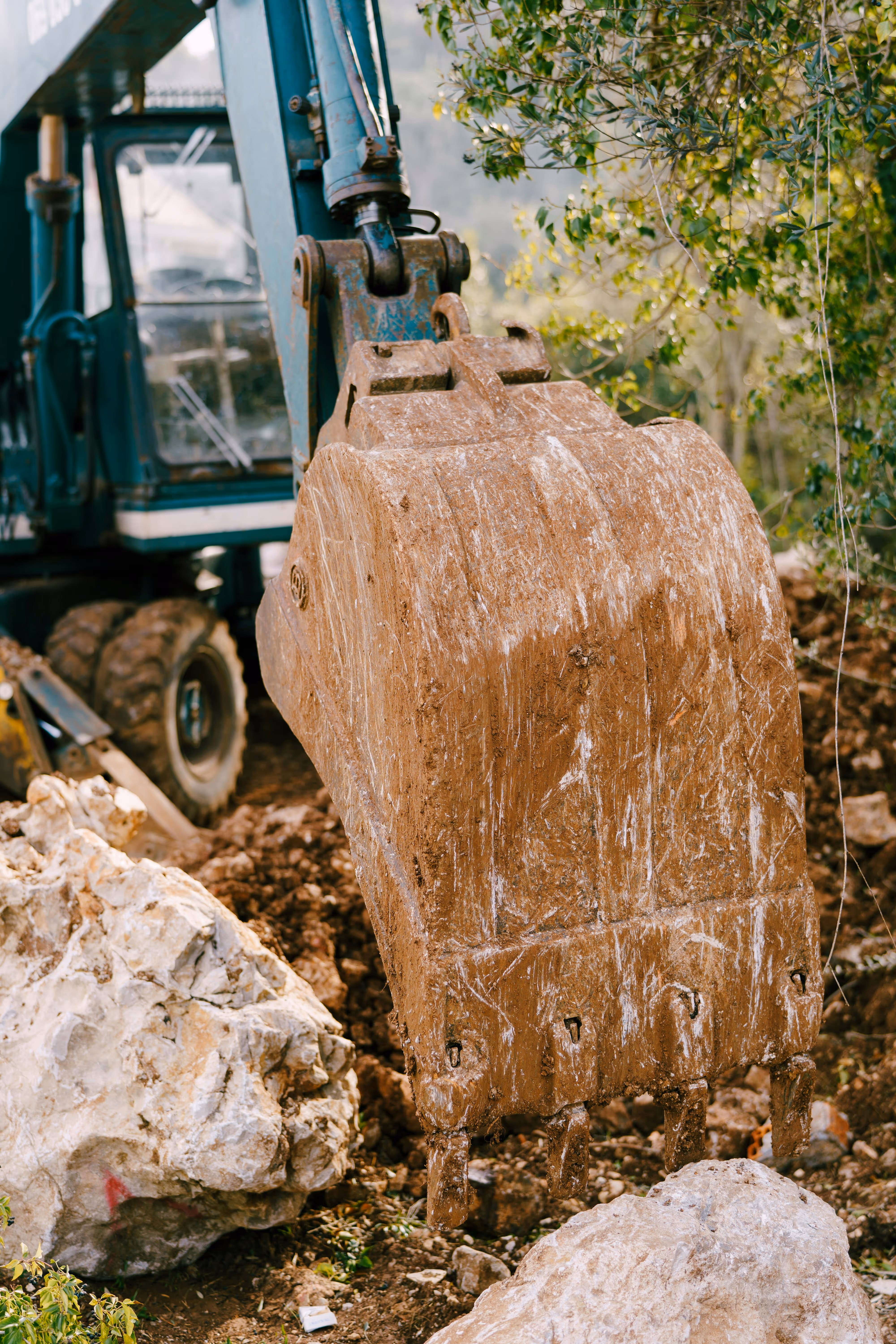 image of a lush green lawn (for a landscaping service)